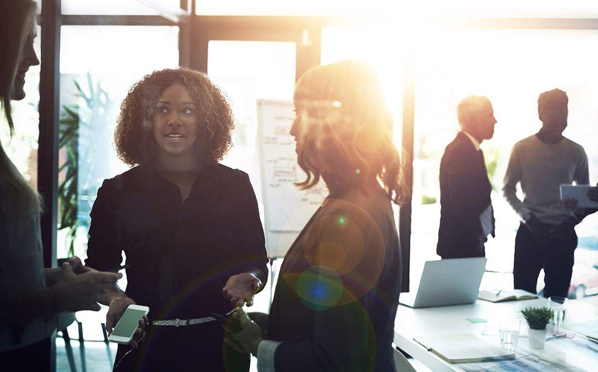 Sprigg Abbott Incorporated Accounting Services